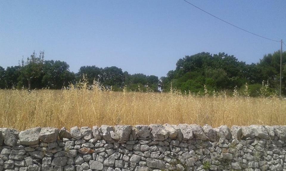 Trullo Le Tre Sorelle Cisternino Exterior foto
